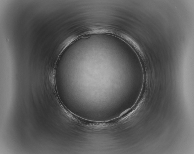 X0000116491193200912161312