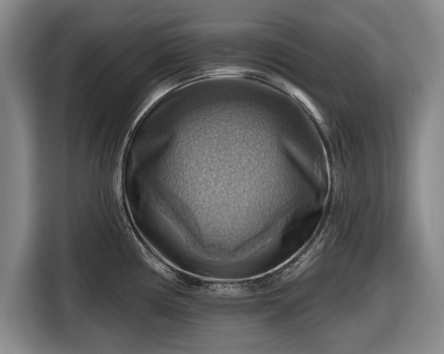 X0000116491194200912161312