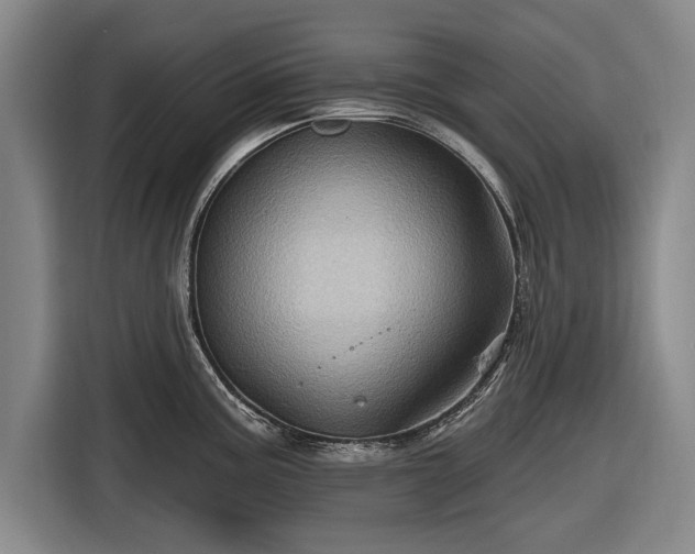 X0000116491195200912161312