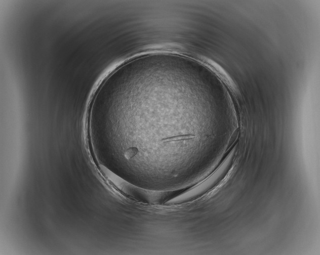 X0000116491196200912161312