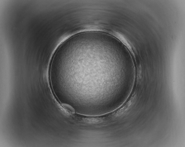 X0000116491197200912161312