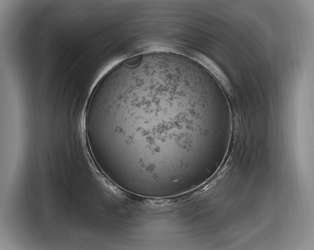 X0000116491198200912161312