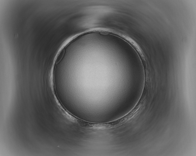 X0000116491199200912161312