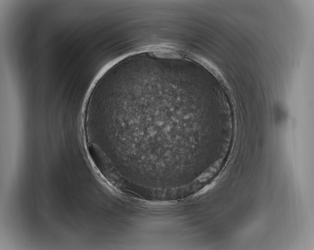 X0000116491200200912161312