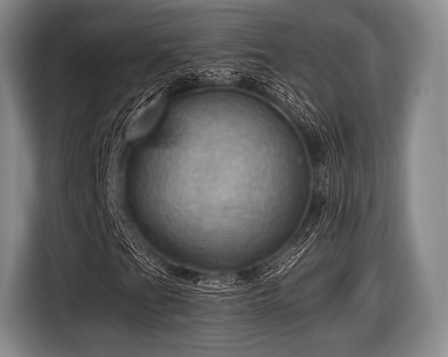 X0000116491201200912161312