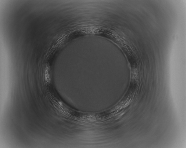 X0000116491202200912161312