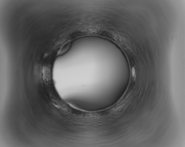 X0000116491203200912161312