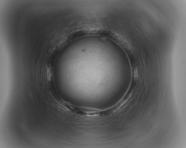 X0000116491204200912161312