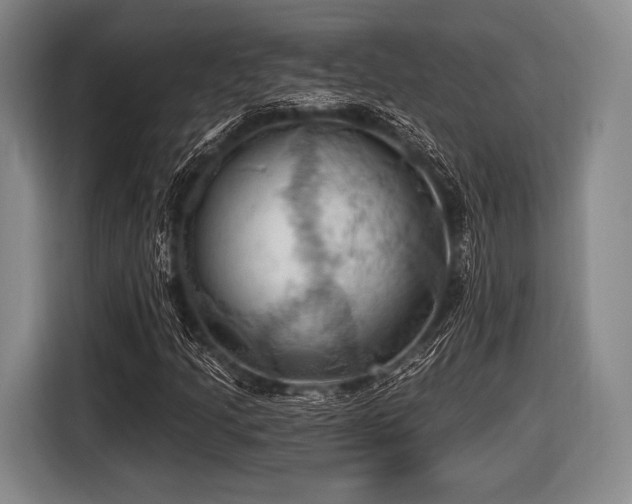 X0000116491205200912161312