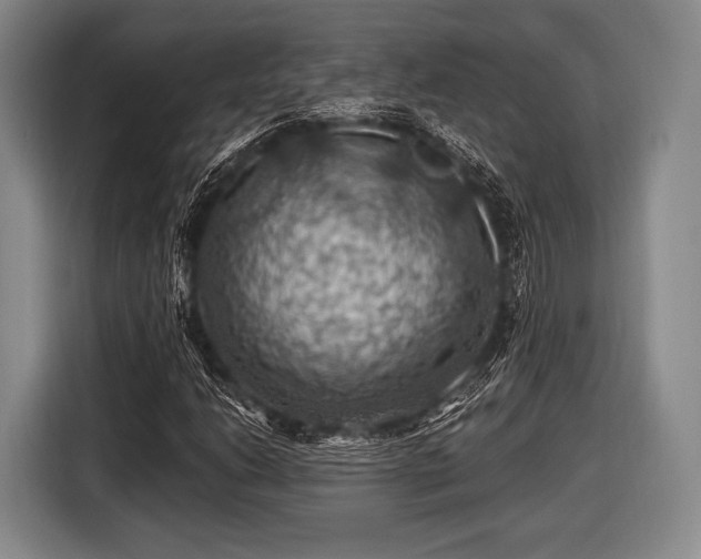 X0000116491206200912161312