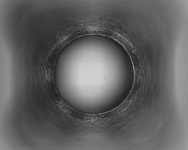 X0000116491207200912161312