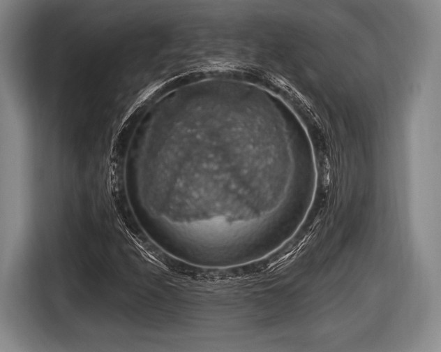 X0000116491208200912161312