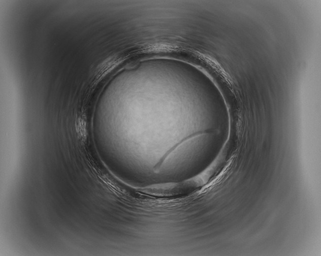 X0000116491209200912161312