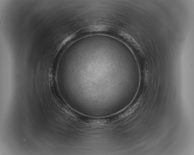 X0000116491210200912161312