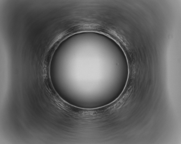 X0000116491211200912161312