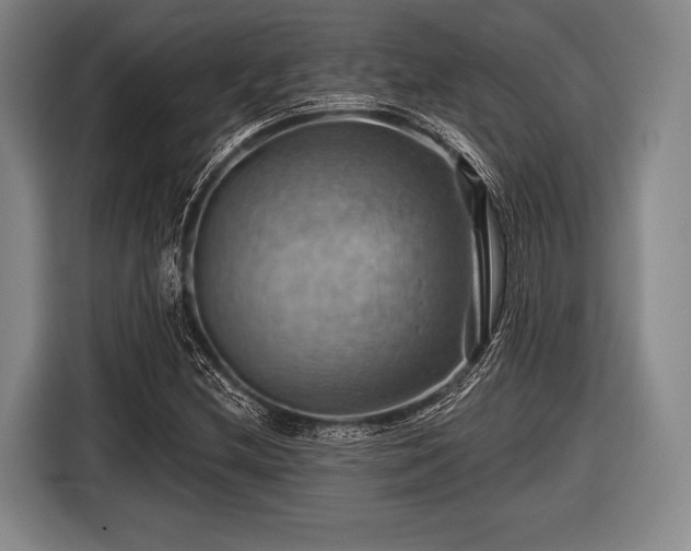 X0000116491212200912161312