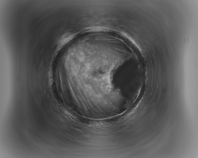 X0000116491213200912161312