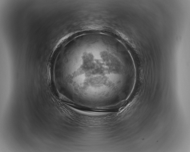 X0000116491214200912161312