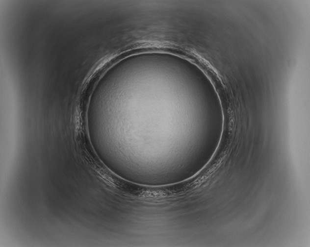 X0000116491215200912161312