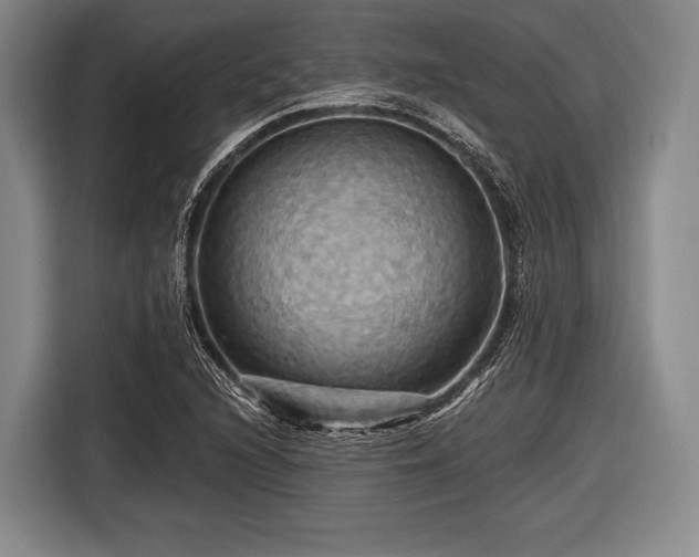 X0000116491216200912161312