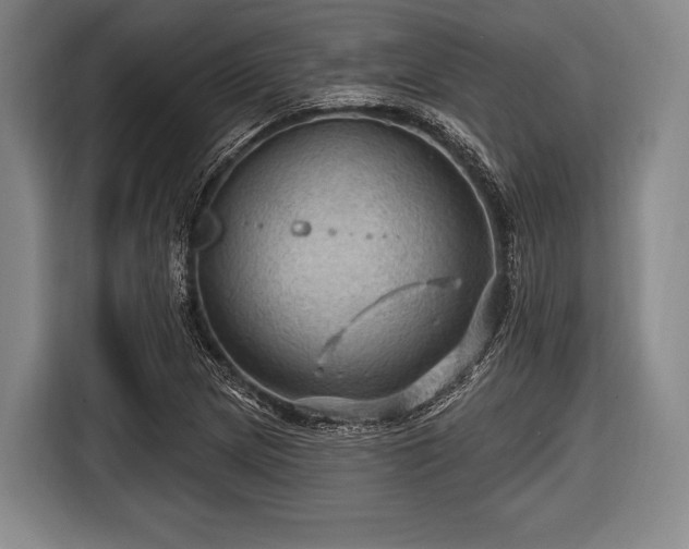 X0000116491217200912161312