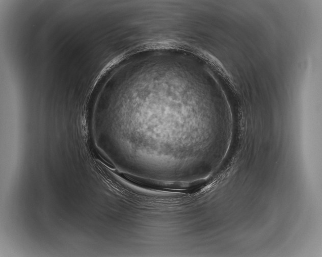 X0000116491218200912161312