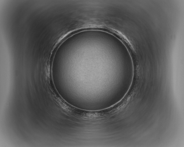 X0000116491220200912161312