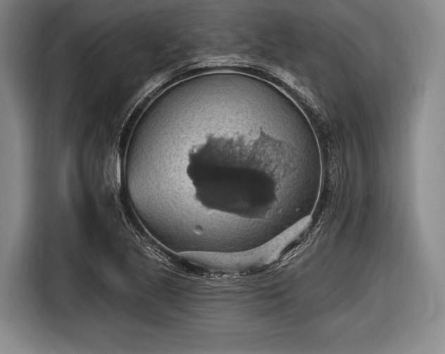 X0000116491221200912161312