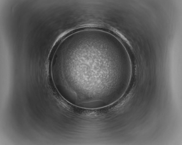 X0000116491222200912161312