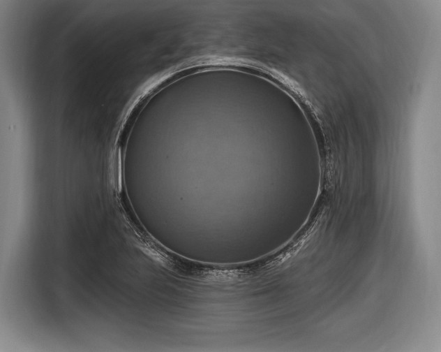 X0000116491223200912161312