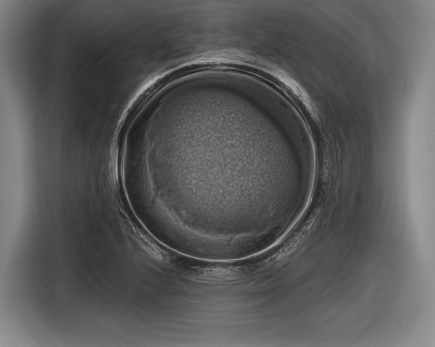 X0000116491224200912161312