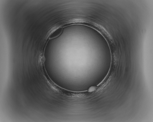 X0000116491225200912161312