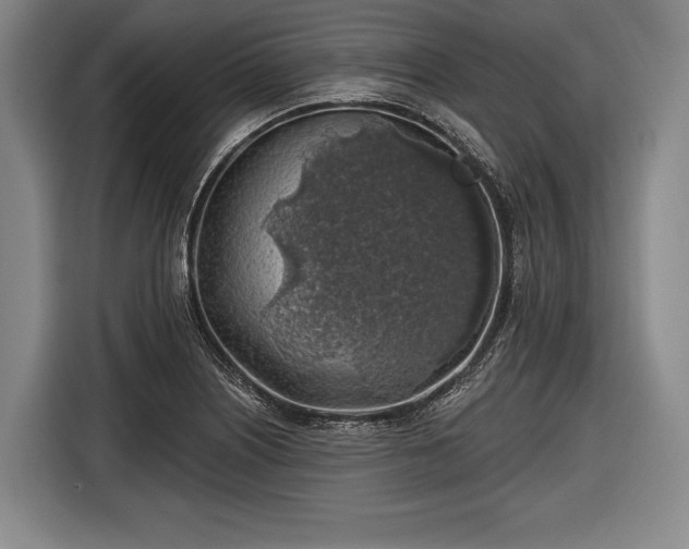 X0000116491226200912161312