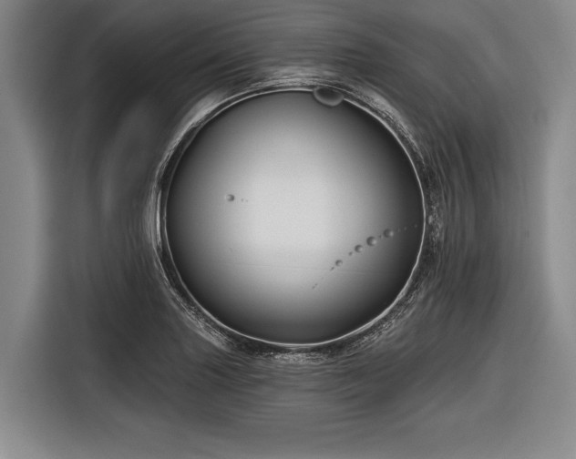 X0000116491227200912161312