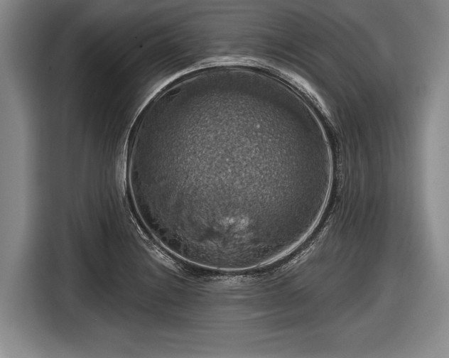 X0000116491228200912161312