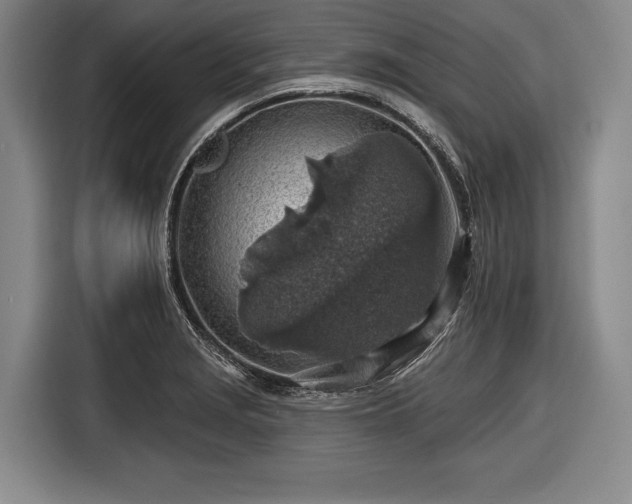 X0000116491229200912161312