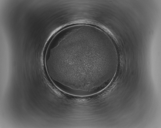 X0000116491230200912161312