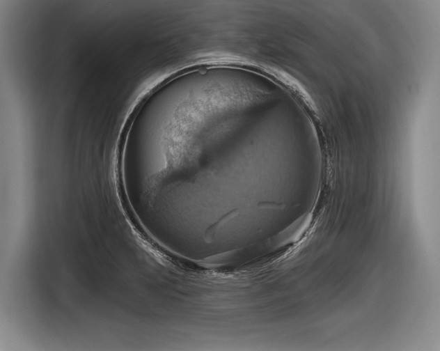 X0000116491231200912161312