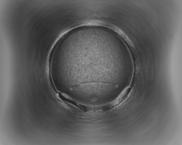 X0000116491232200912161312