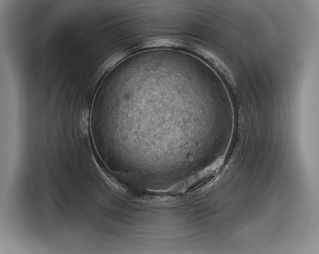 X0000116491233200912161312