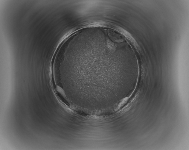 X0000116491234200912161312