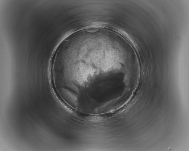 X0000116491235200912161312