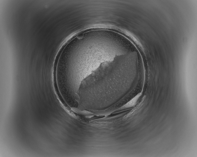 X0000116491237200912161312