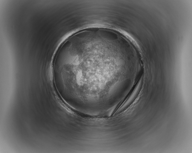 X0000116491238200912161312