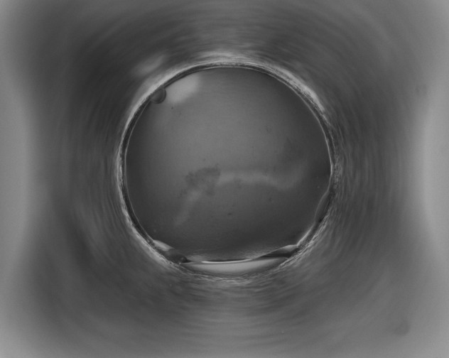 X0000116491239200912161312