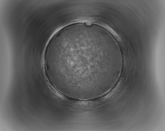 X0000116491240200912161312