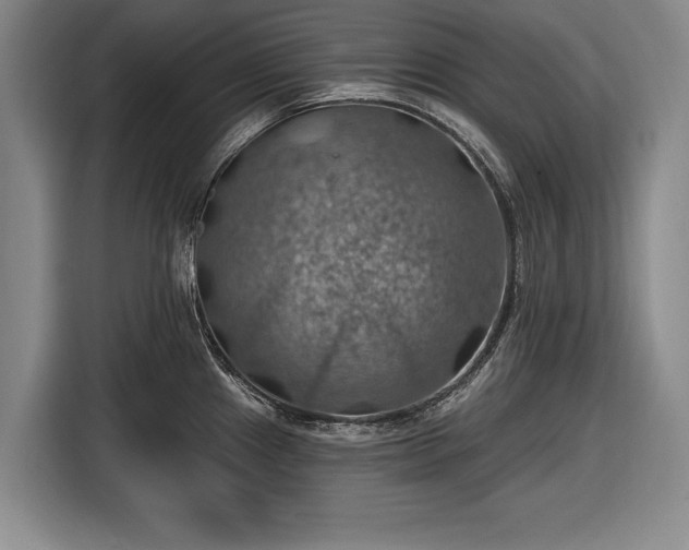 X0000116491241200912161312