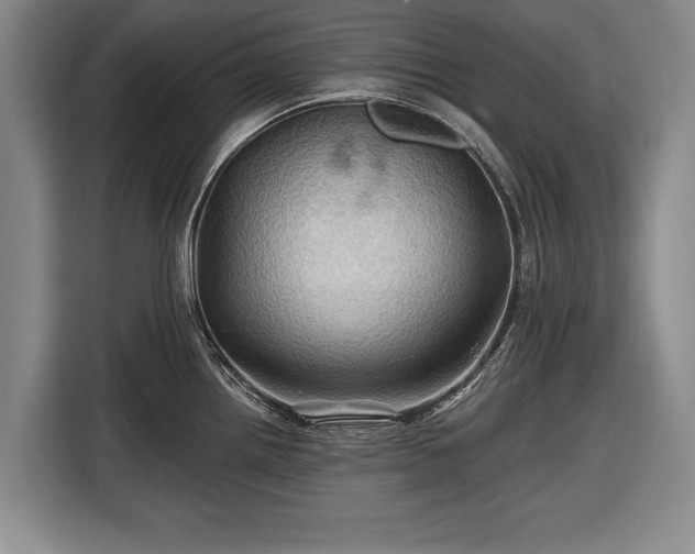 X0000116491242200912161312