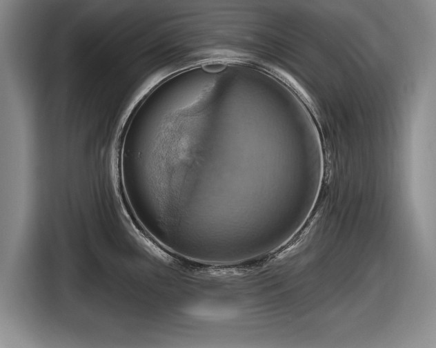 X0000116491243200912161312