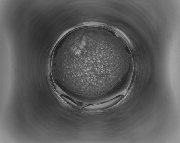 X0000116491244200912161312